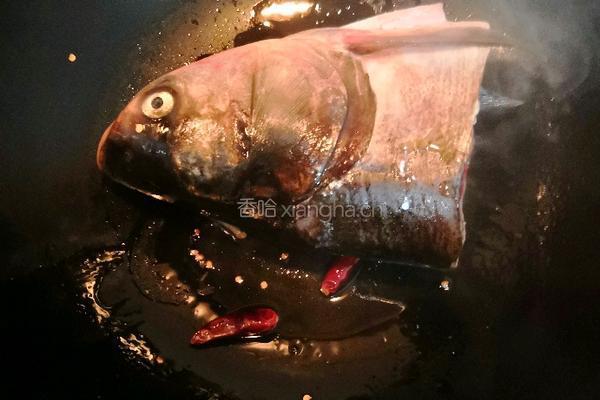 常州～红烧鱼头炖豆腐的做法图解4