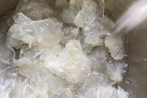 凉拌海蜇头的做法图解5