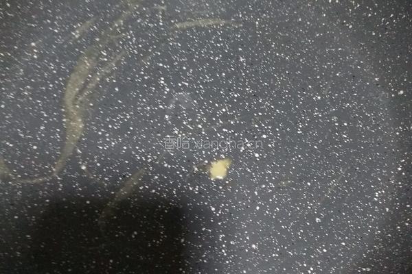 平底锅蛋糕片的做法图解11