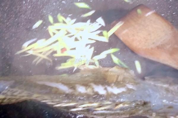 桂鱼豆腐汤的做法图解5
