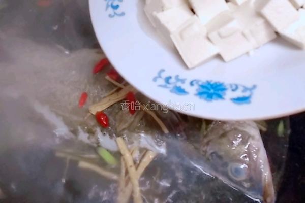 桂鱼豆腐汤的做法图解9