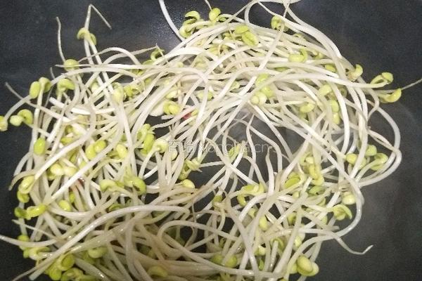 香辣豆芽菜的做法图解6