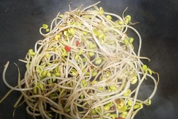 香辣豆芽菜的做法图解9