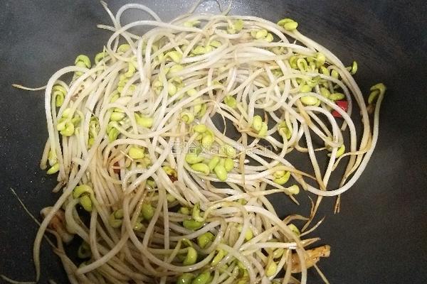 香辣豆芽菜的做法图解10
