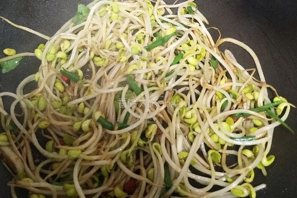 香辣豆芽菜的做法图解12