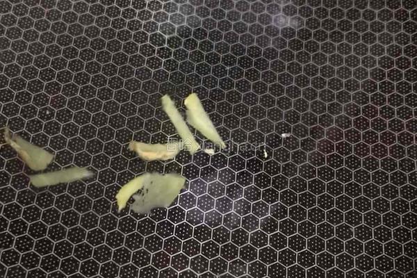 盐水小白虾的做法图解3
