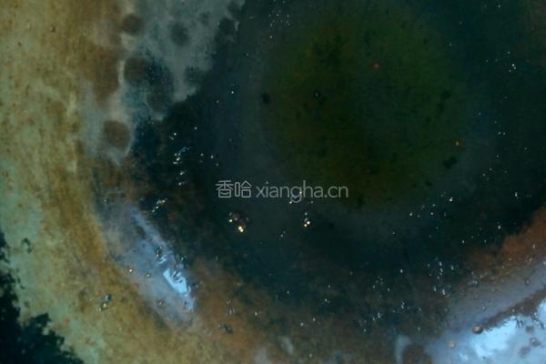 渍菜粉的做法图解4