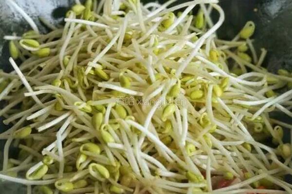黄豆芽炒粉条的做法图解3