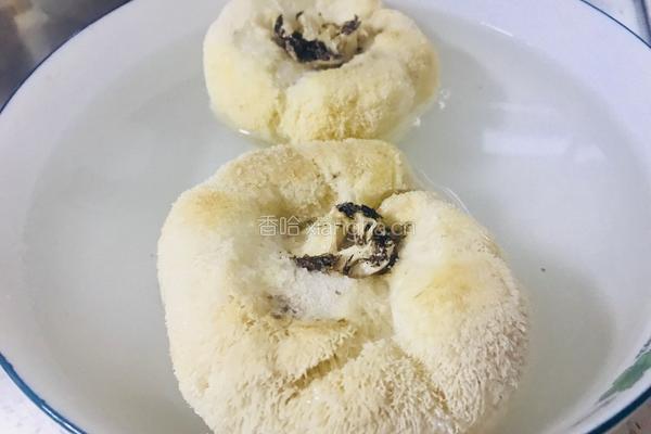 鲜味猴头菇的做法图解2