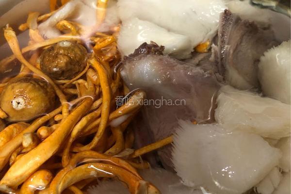 粤式靓汤－猴头菇虫草花扇骨汤的做法图解5
