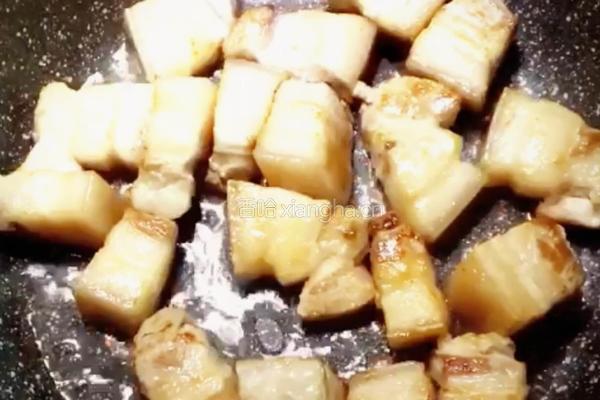 四川—快手红烧肉的做法图解5