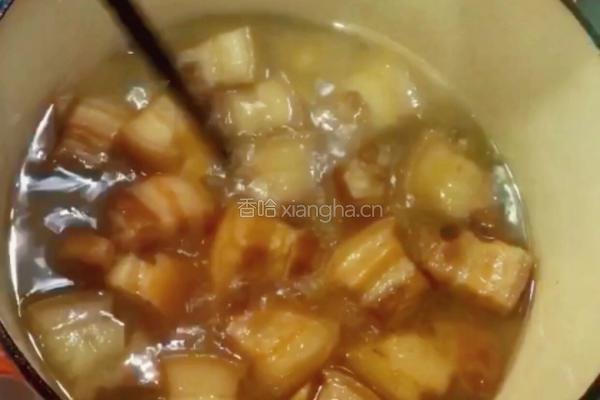 四川—快手红烧肉的做法图解13