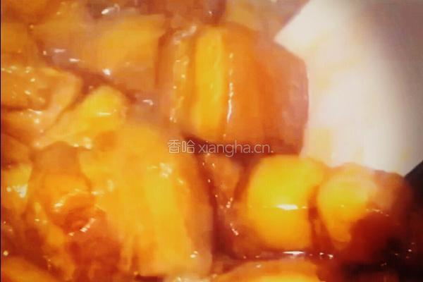 四川—快手红烧肉的做法图解15
