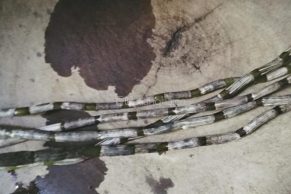 花胶石斛炖鸡的做法图解3