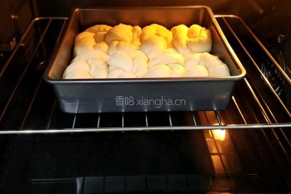 酸奶老面包的做法图解17