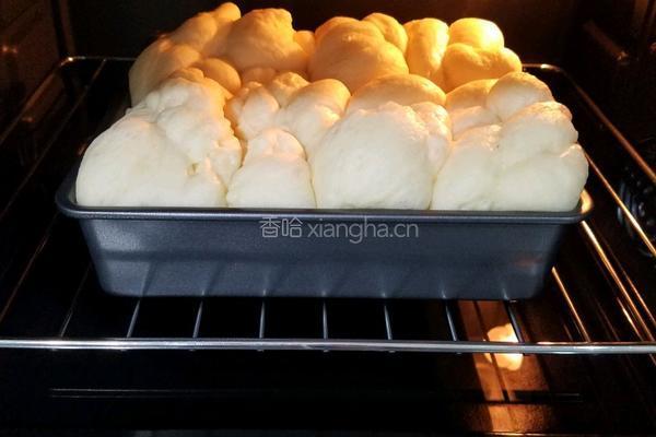 酸奶老面包的做法图解18