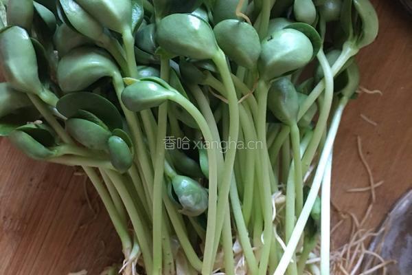 海鲜火锅的做法图解5