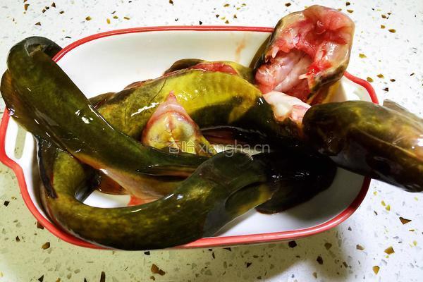 牛尾巴鱼白菜豆腐泡汤的做法图解1