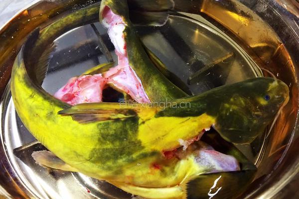 牛尾巴鱼白菜豆腐泡汤的做法图解5