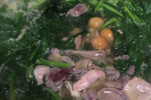 粤式－茼蒿鸡杂汤的做法图解5