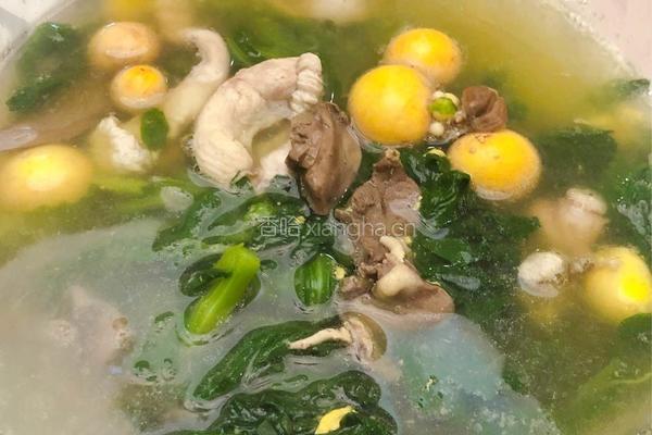 粤式－茼蒿鸡杂汤的做法图解8
