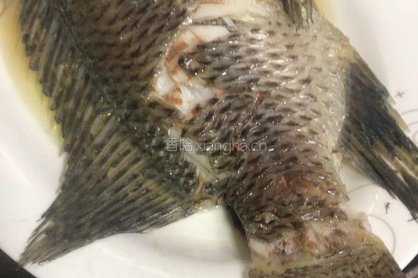 粤式－清蒸水库鲫鱼的做法图解4