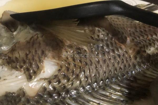 粤式－清蒸水库鲫鱼的做法图解5