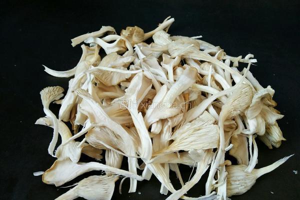 炸蘑菇的做法图解2