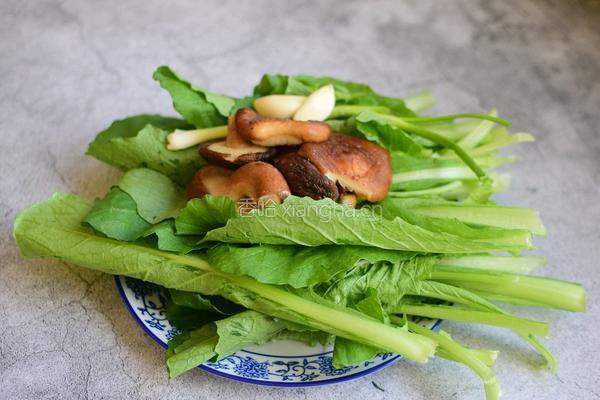 香菇炒小白菜的做法图解1