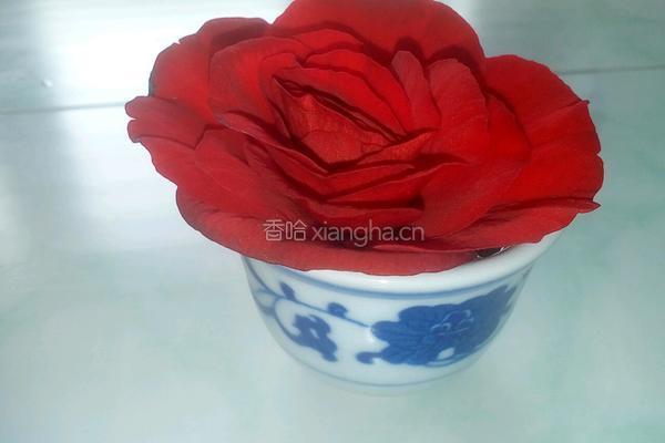 花的祝福的做法图解17