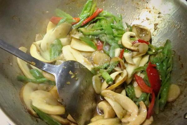 川式-小炒牛肝菌的做法图解9