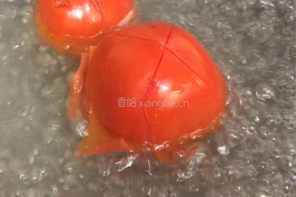 番茄肉酱汤面的做法图解1