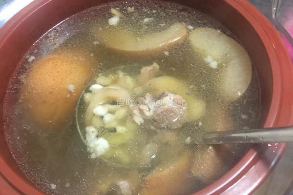 川贝海底椰冰糖雪梨炖瘦猪汤的做法图解7
