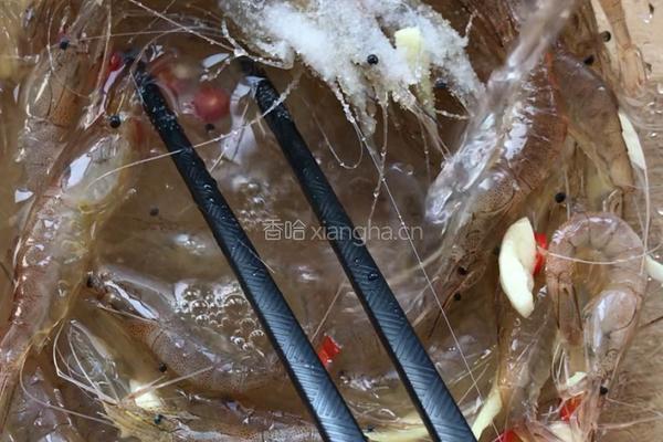 醉虾的做法图解9