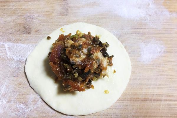 干菜肉包的做法图解15
