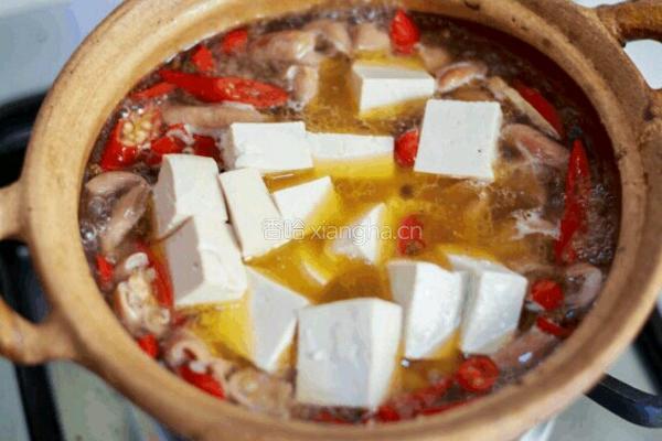 砂锅大肠炖豆腐的做法图解8