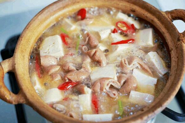 砂锅大肠炖豆腐的做法图解9