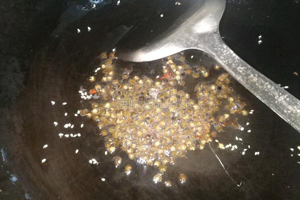香辣豆豉牛肉酱的做法图解6