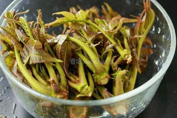 春芽拌豆腐的做法图解1