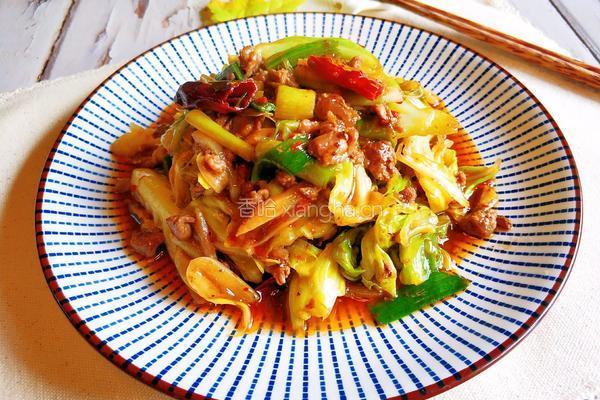 肉酱卷心菜的做法图解1