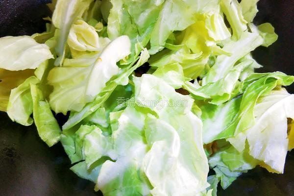 肉酱卷心菜的做法图解8
