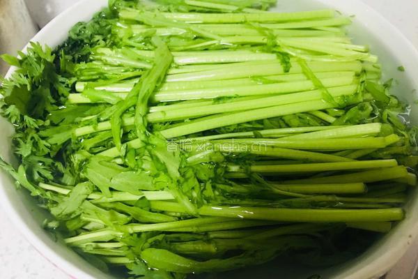 酱香茼蒿的做法图解1