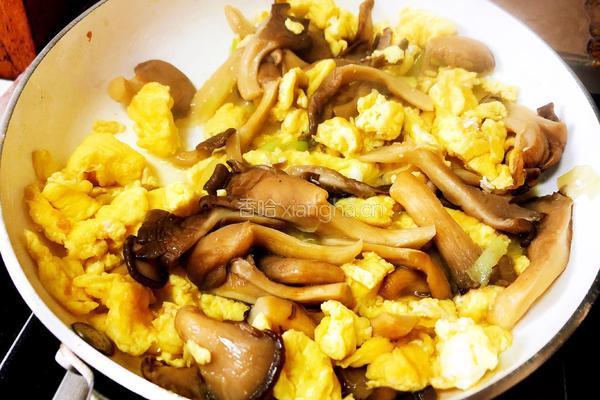 平菇炒鸡蛋的做法图解9