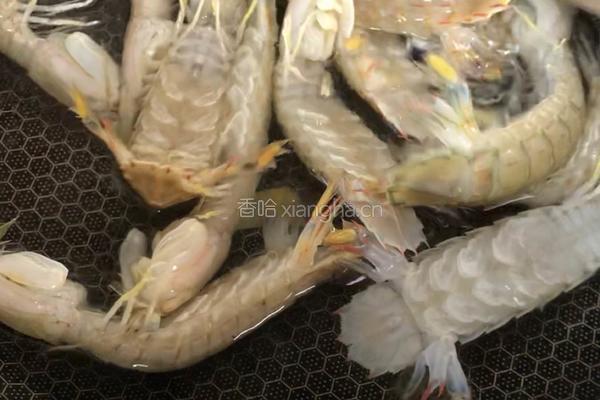 盐水虾菇的做法图解2