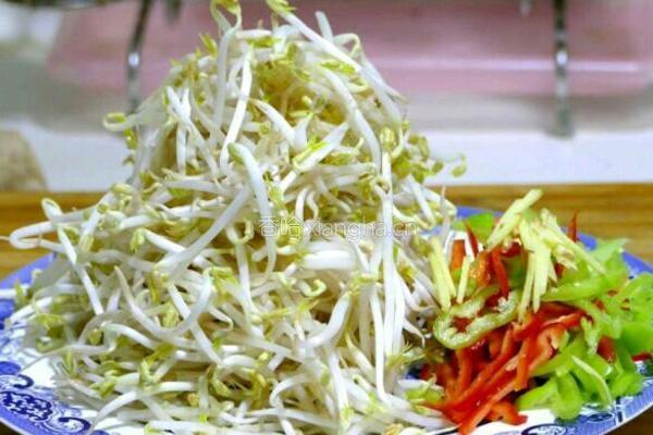 爆炒辣豆芽的做法图解2
