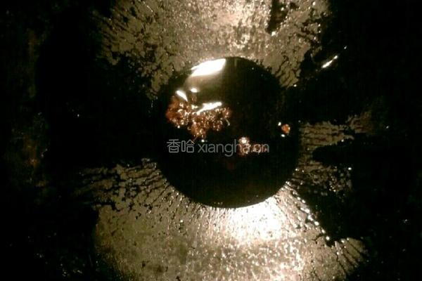 水晶猪皮冻的做法图解10