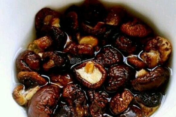香菇炖鸡的做法图解2
