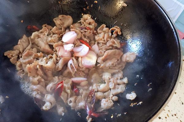 孜然羊肉的做法图解8