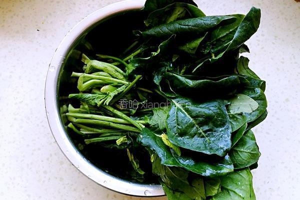 菠菜炒鸡蛋的做法图解1