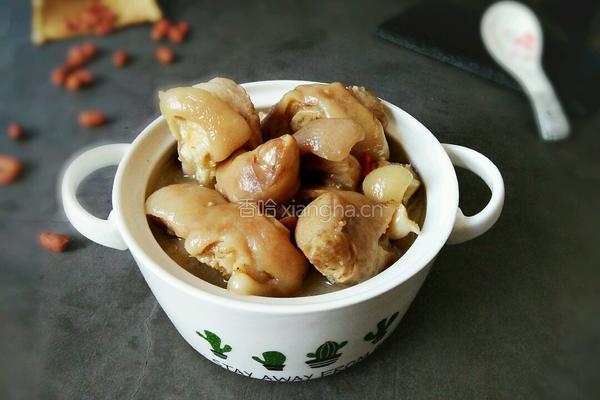 清炖猪蹄的做法图解12